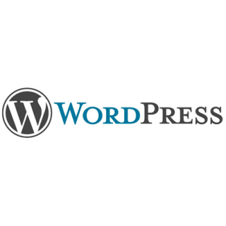 продвижение сайтов на WordPress