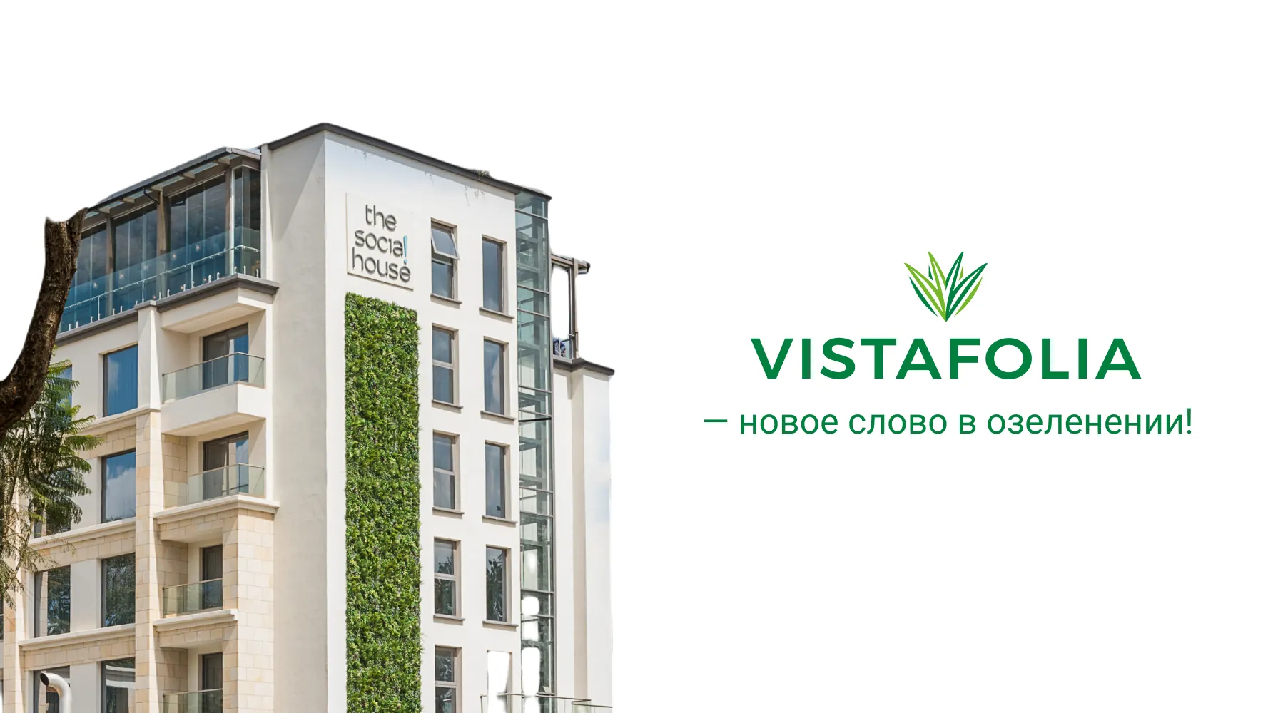 Создание сайтов