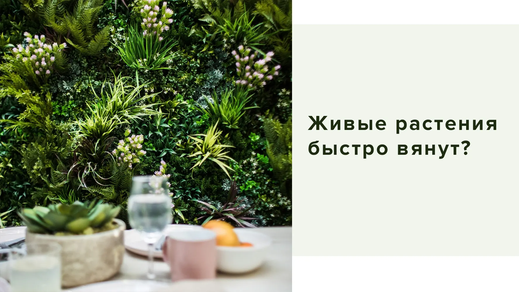 Создание сайтов